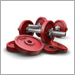 Workout with Free Weights